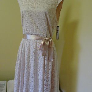 Ladies Size 14 Champagne Lace Dress-NEW